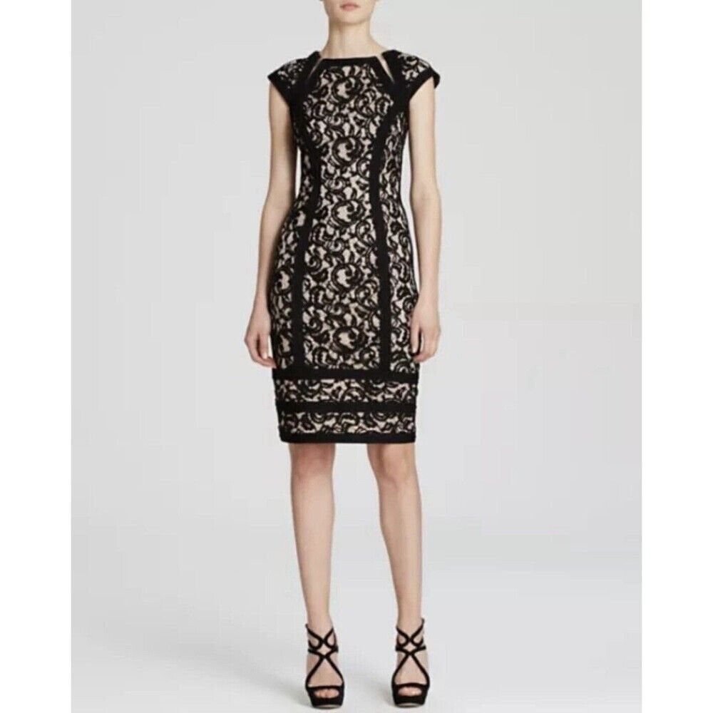Tadashi Shoji Lace Sheer  Embroidered Pintuck Black Primrose Party Dress Size 4